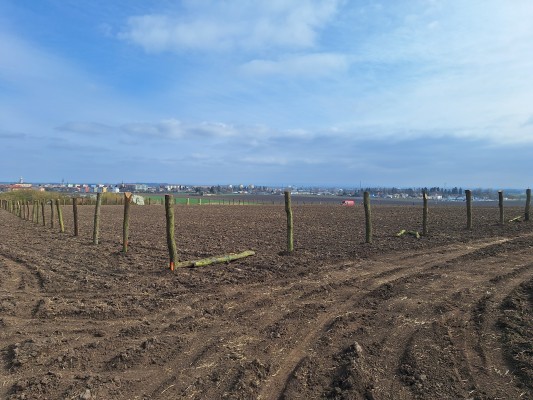 I. etapa - třetí dekáda března 2024