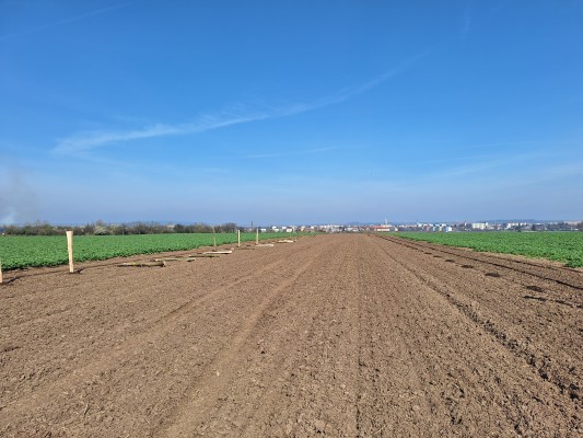 I. etapa - zahájení realizace