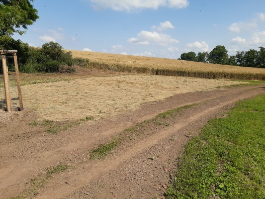 II. etapa - třetí dekáda července 2024 - plocha pro luční květiny