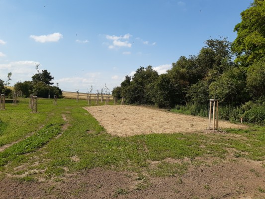 II. etapa - třetí dekáda července 2024 - plocha pro luční květiny