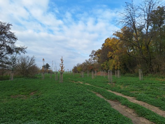 II. etapa -dokončeno - třetí dekáda října 2024