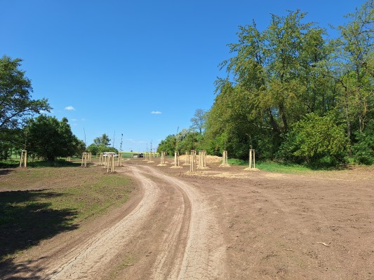 II. etapa - třetí dekáda dubna 2024