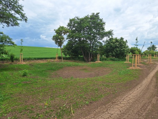 II. etapa - třetí dekáda května 2024