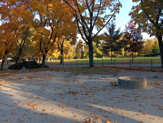 20.10.2025 - odstranění pergoly