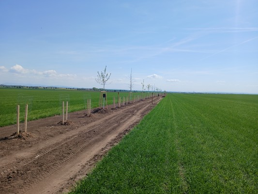 duben 2025 - průběh realizace