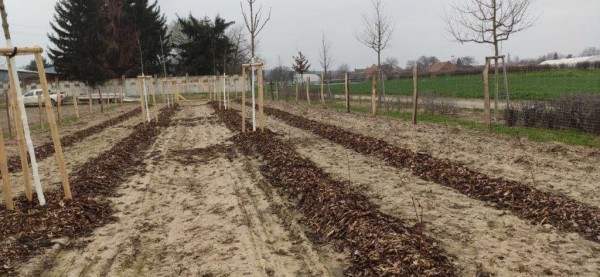 dokončení akce - březen 2024