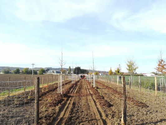 první dekáda listopadu 2023