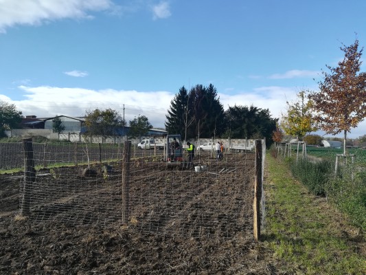 sázení stromů - 08.11.2023