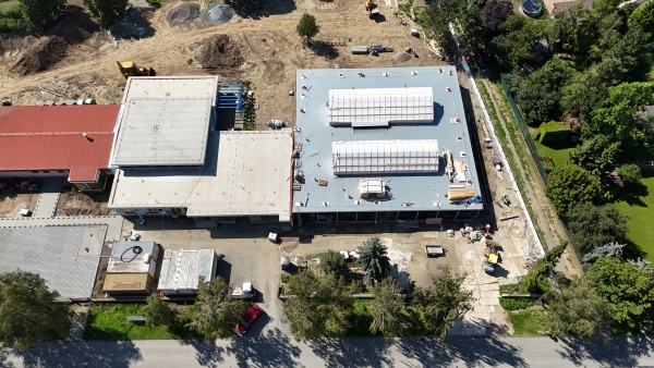 první dekáda srpna 2025