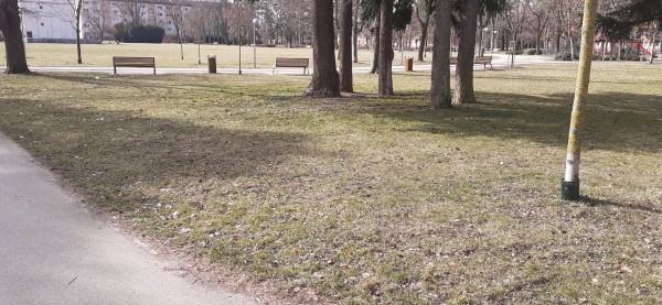 foto plochy před umístěním budoucího zázemí