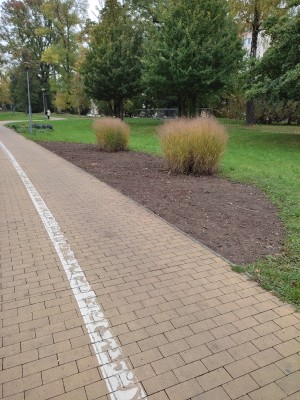 Místo pro obnovu trvalkového záhonu