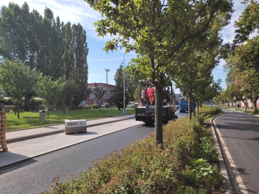 první dekáda srpna 2025