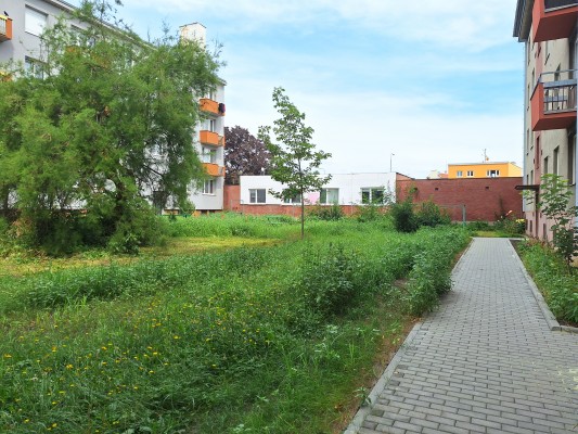 začátek srpna - finální stav