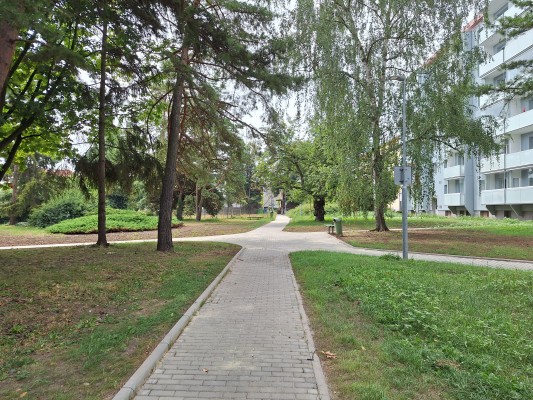 začátek srpna - finální stav