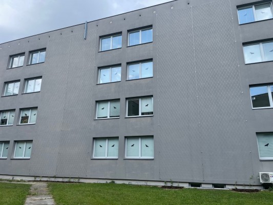 druhá dekáda července 2024