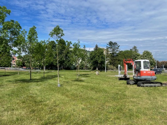 zahájení parkových úprav - začátek května 2024