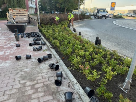 druhá dekáda října 2024