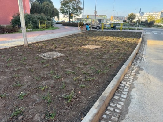 druhá dekáda října 2024