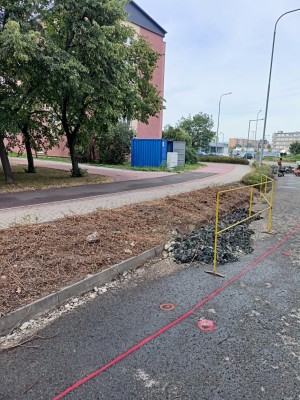 první dekáda srpna 2024