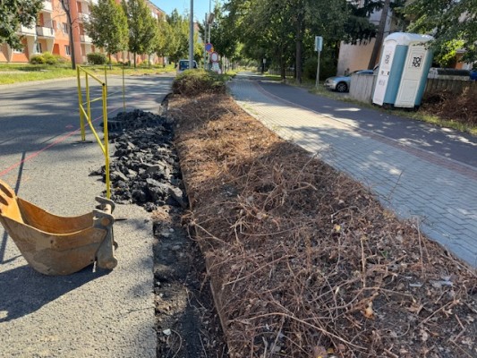 první dekáda srpna 2024