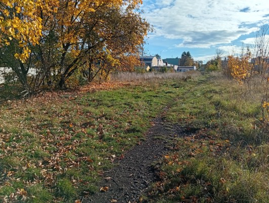 původní stav lokality