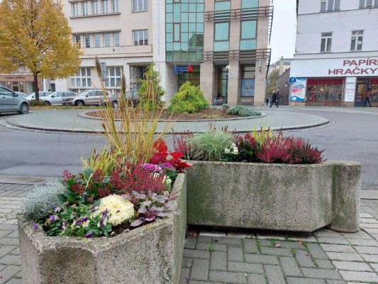 Plán výsadby zeleně 2022