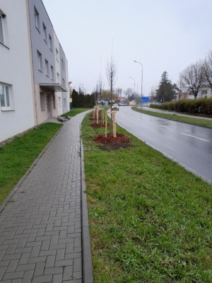 Výstavba na ul. Okružní u ul. dr. Plajnera