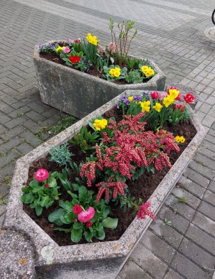 Plán výsadby zeleně 2024