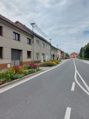 Plán výsadby zeleně 2024