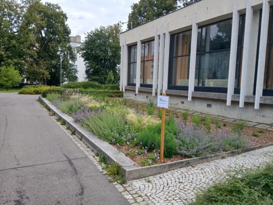 Plán výsadby zeleně 2024