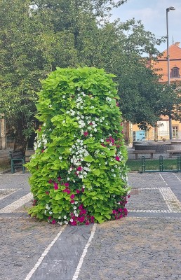 Plán výsadby zeleně 2024