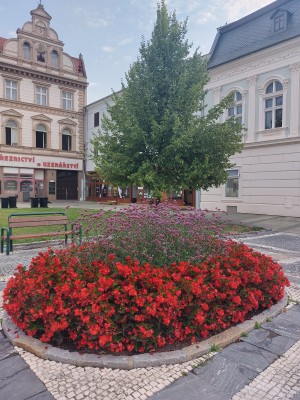 Plán výsadby zeleně 2024