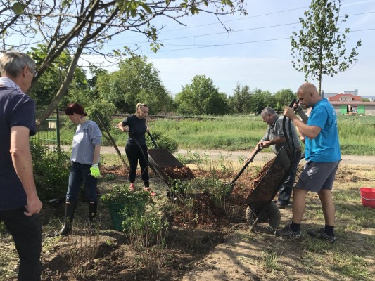 Plán výsadby zeleně 2024