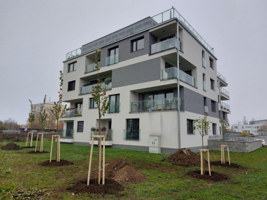 Plán výsadby zeleně 2022