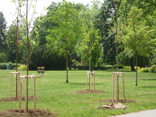 Plán výsadby zeleně 2022