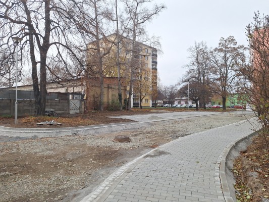 druhá dekáda listopadu 2024