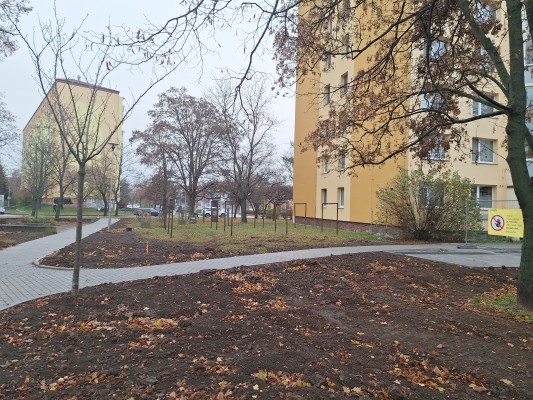 třetí dekáda listopadu 2024