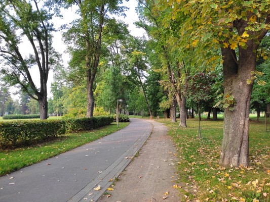 Stávající veřejné osvětlení v parku