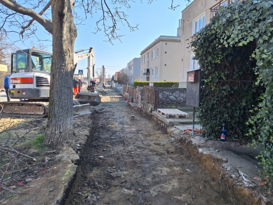 foto 21. března 2025