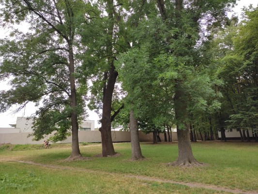 Vybrané místo pro hřiště