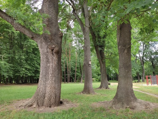 Vybrané místo pro hřiště