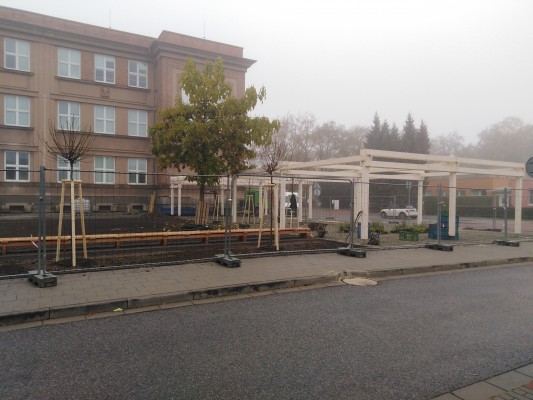 konec října 2022 - výsadba stromů