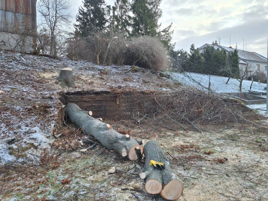 zahájení akce - leden 2024