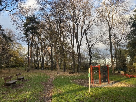 Super zábava pro děti mezi stromy