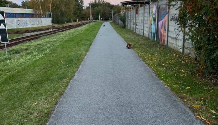 Odpadkové koše a osvětlení cyklostezky za Agrostrojem