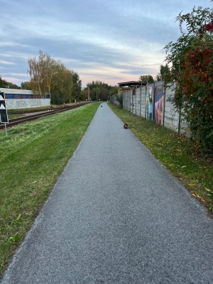 Odpadkové koše a osvětlení cyklostezky za Agrostrojem