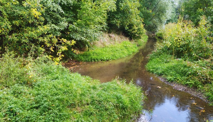 Revitalizace u soutoku řek Hloučely a Romže (Valová) a založení biocentra